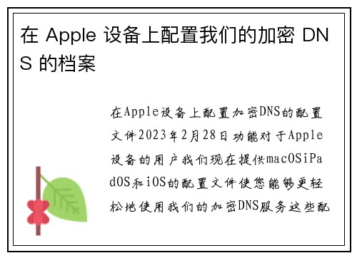 在 Apple 设备上配置我们的加密 DNS 的档案 